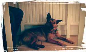 Xena