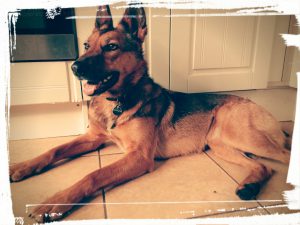 Xena